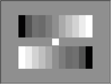 TE83 A Gray Scale Test Chart Reflectance